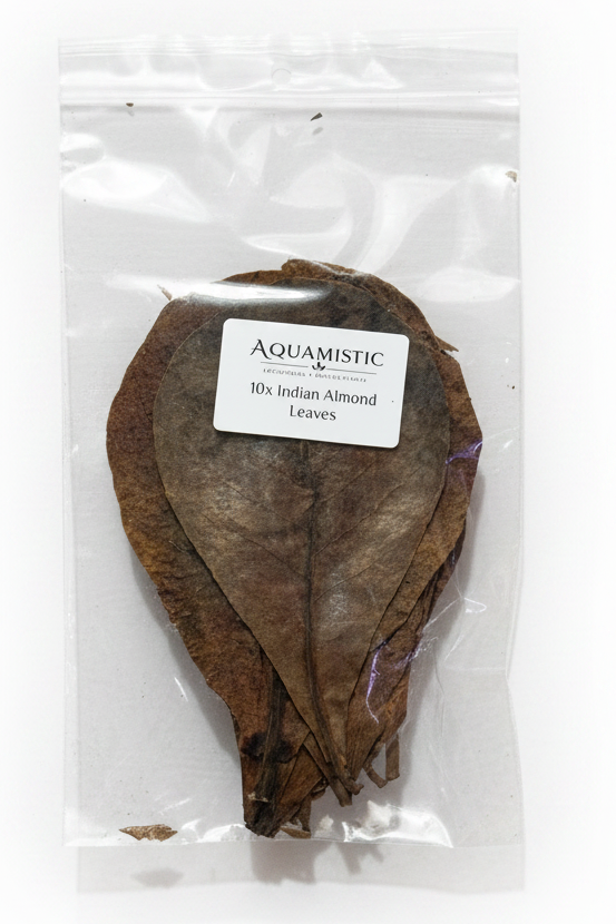 Indian Almond Leaves - 10Pcs