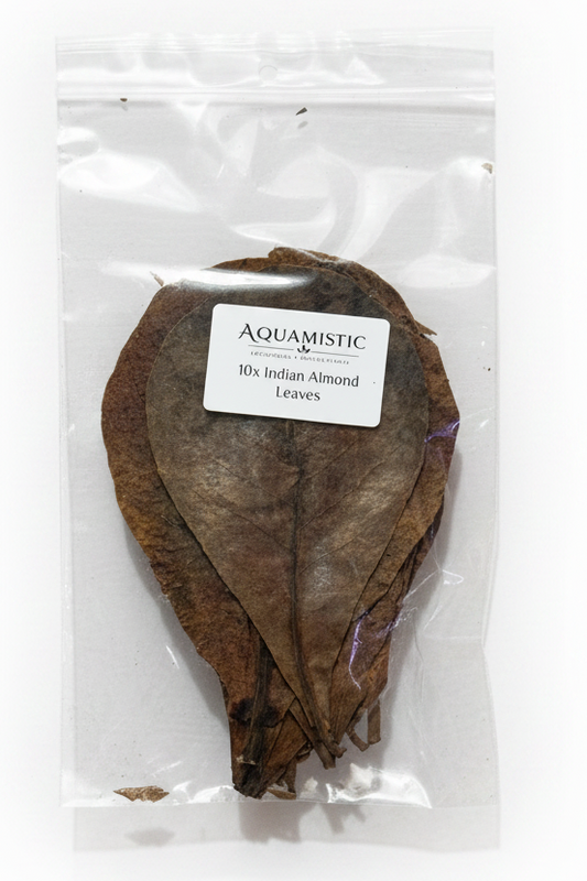 Indian Almond Leaves - 10Pcs